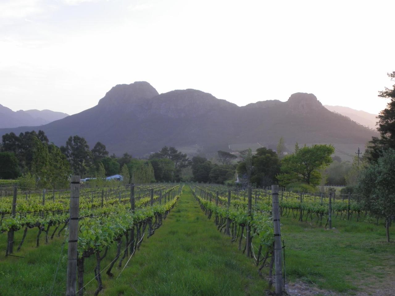 Franschhoek Rose Cottages Eksteriør bilde